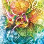 drawing / digital - 2009