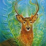 Fabian_Jimenez_-_venado_2014